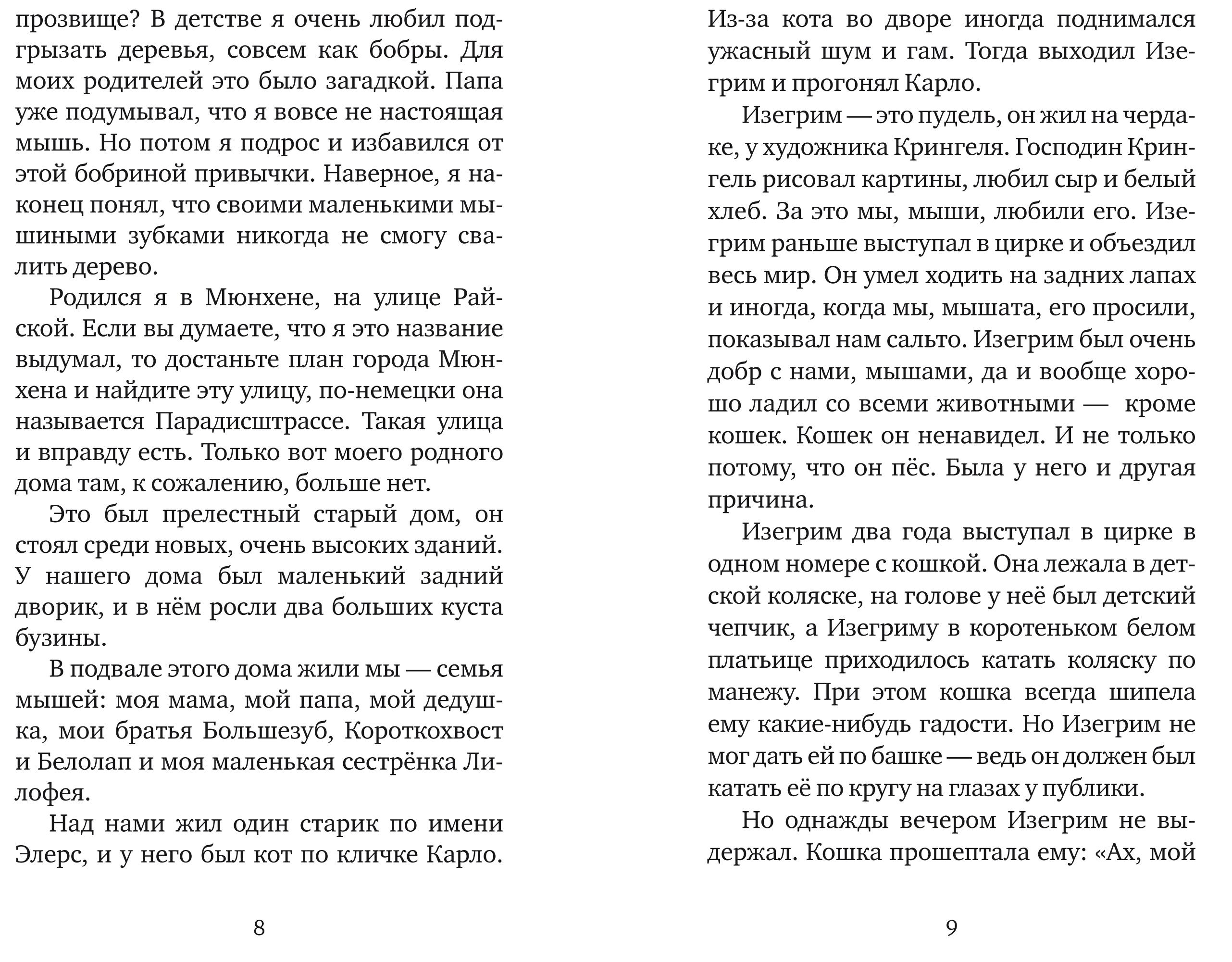 Книга Текст Мышонок-путешественник - фото 7