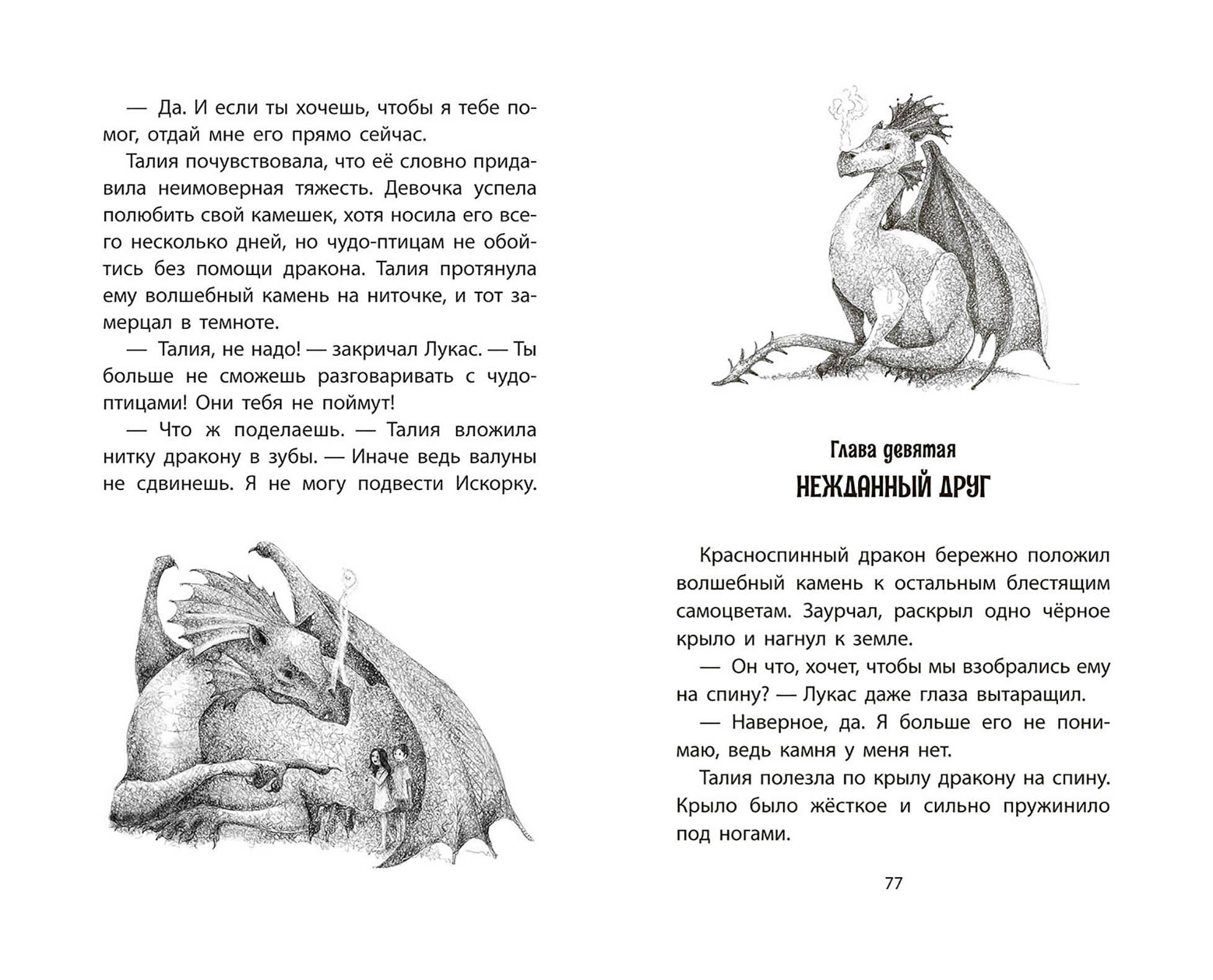 Книга Качели Искорка - чудо-птичка - фото 9