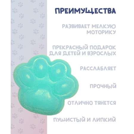 Сквиш КАМЕЛИЯ