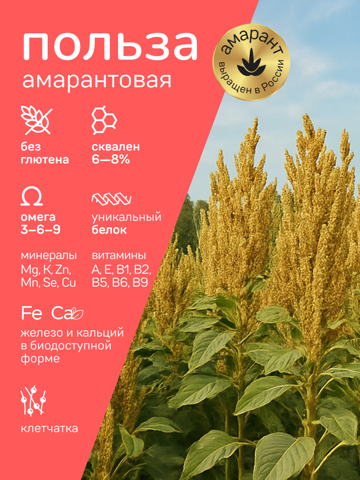 Гранола Amarancho Амарантово-овсяная. Ягодная - фото 4