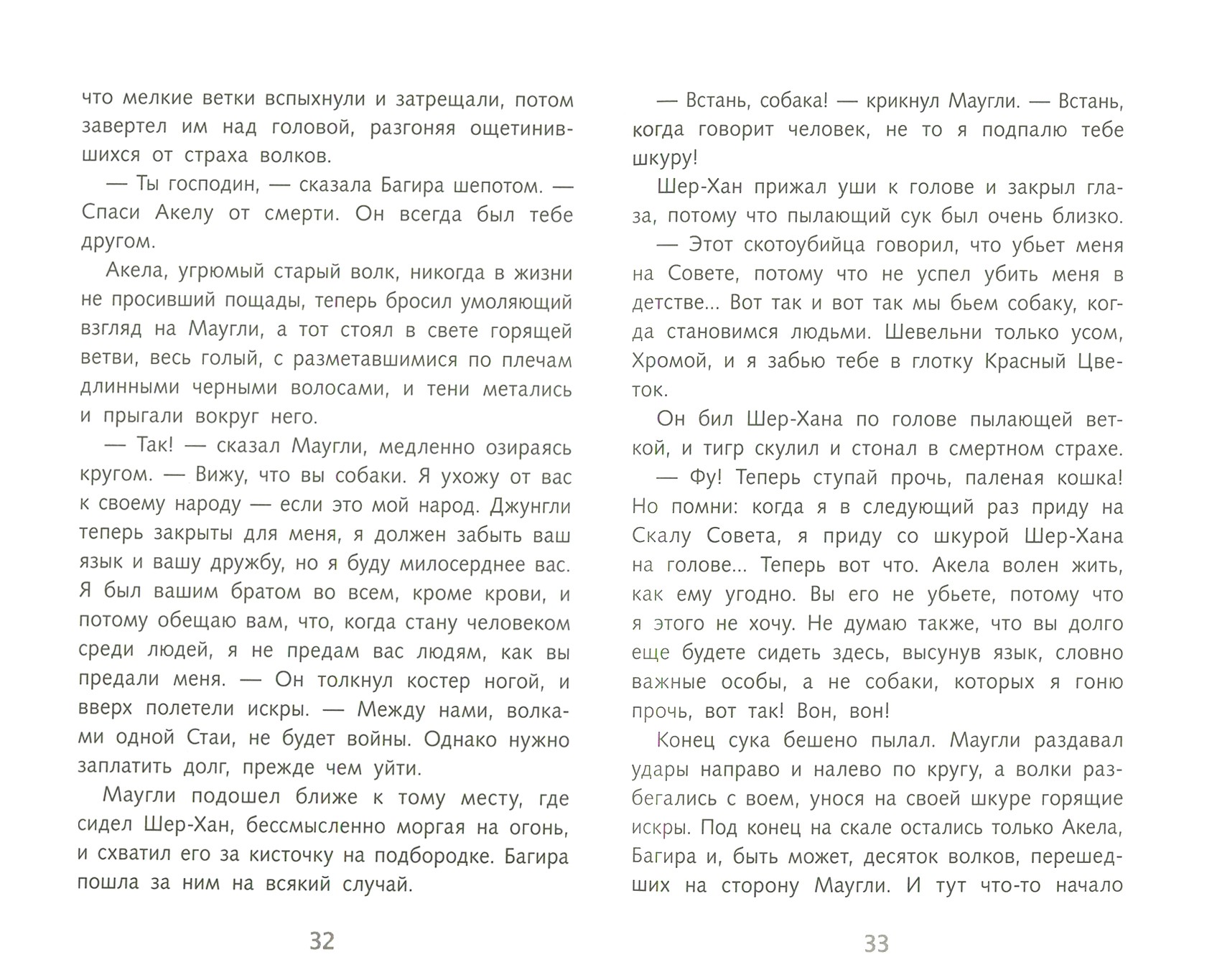 Книга Стрекозa Маугли - фото 3