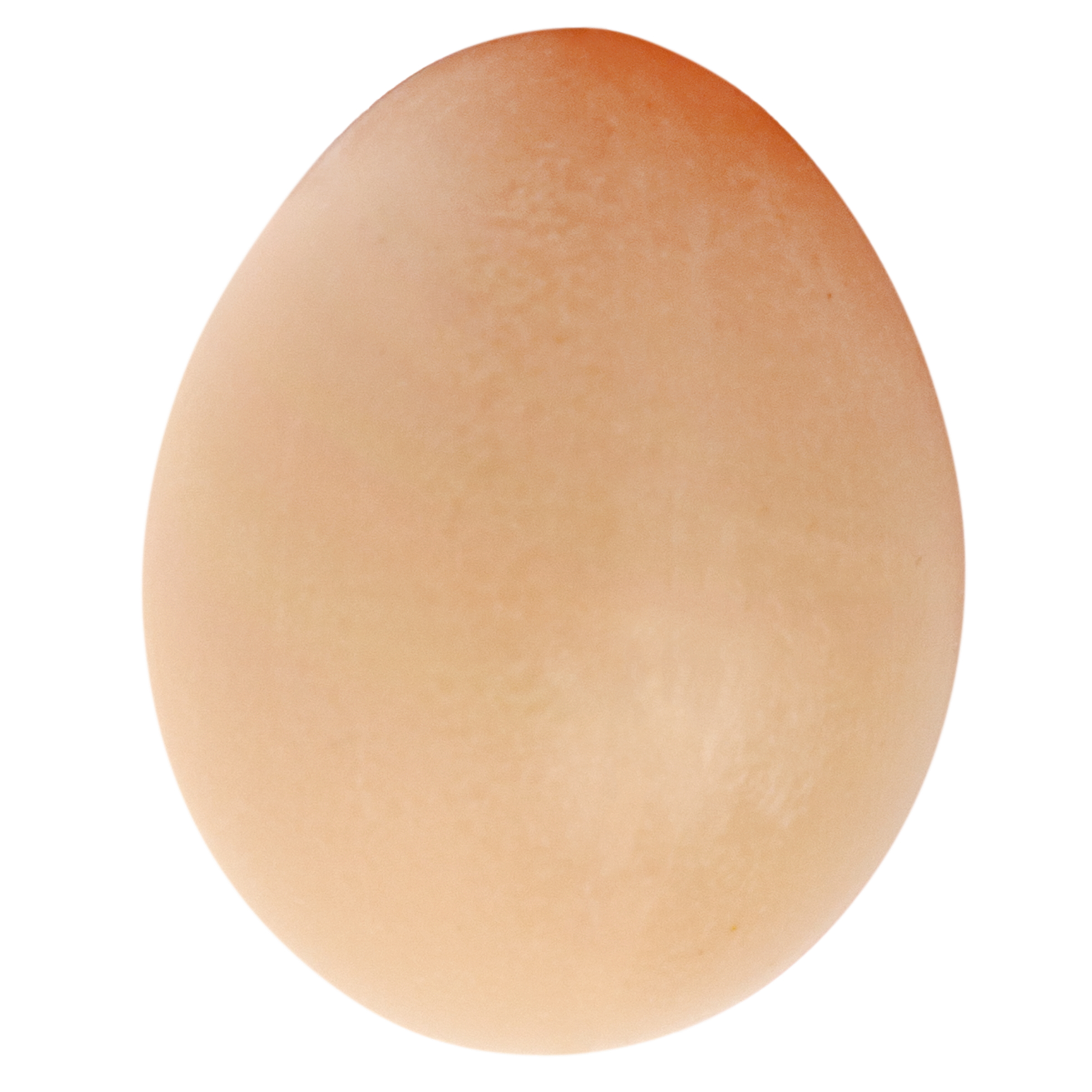 Игрушка 1TOY мультиварка, посуда, продукты 38 предм. - фото 11