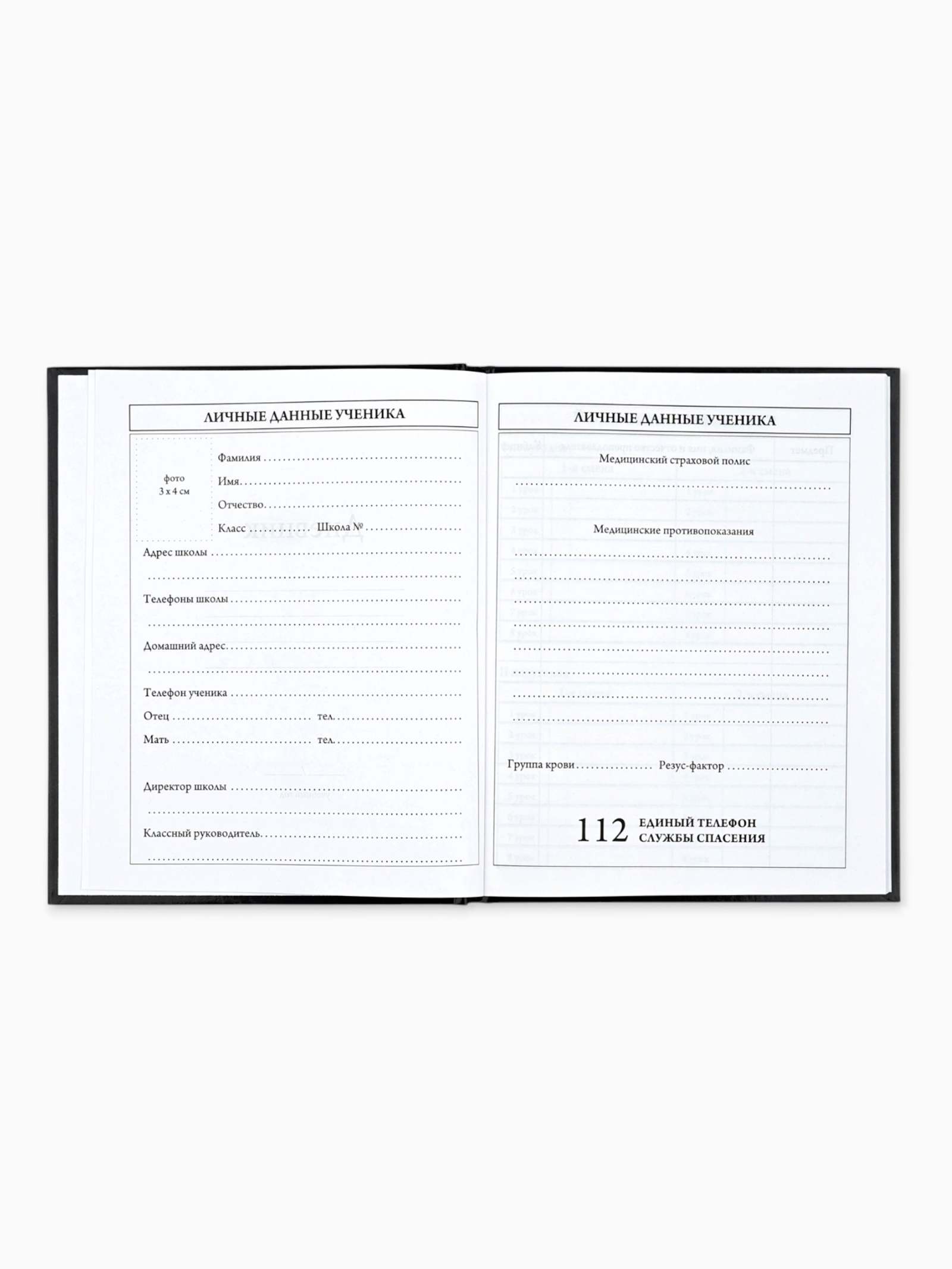 Дневник ArtFox STUDY школьный для 5-11 класса - фото 3