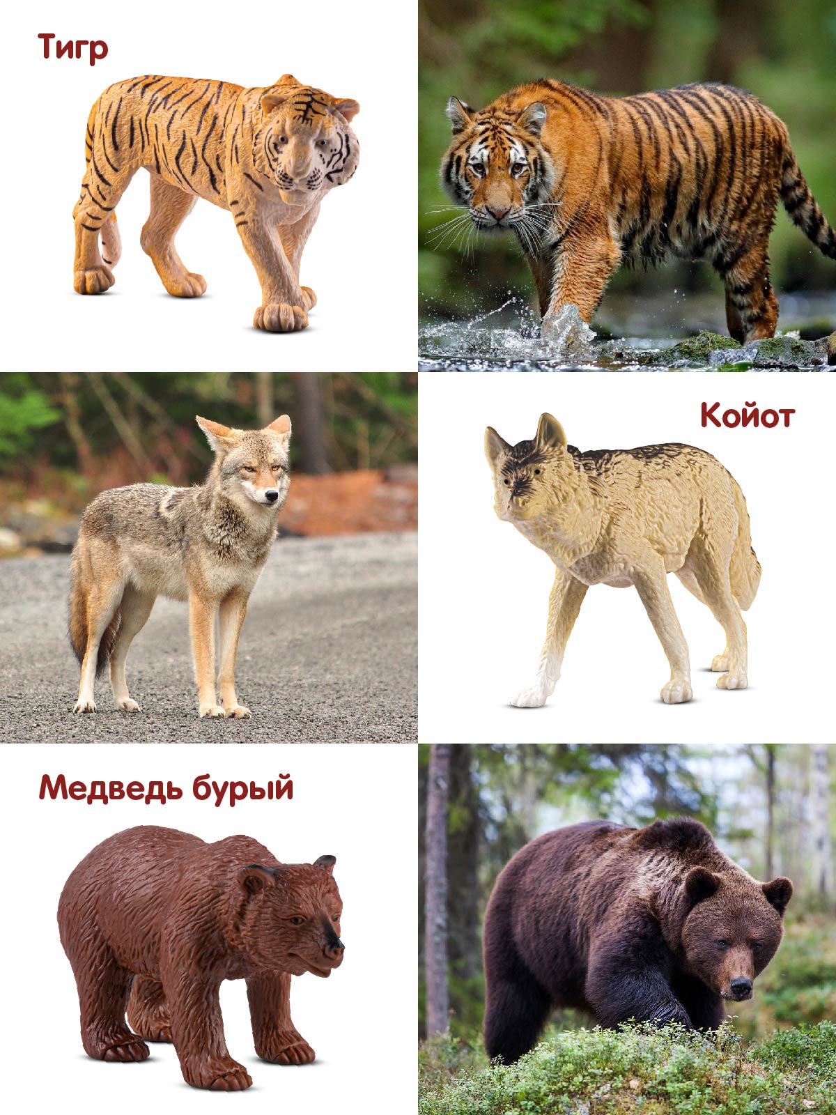 Игровой набор DARWIN Дикие животные 6шт - фото 2