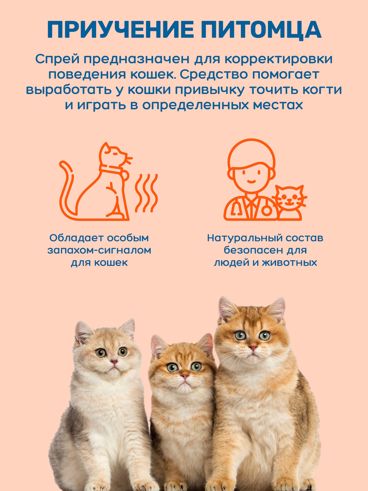 Спрей для кошек ZOORIK приучение к когтеточке 250 мл - фото 2