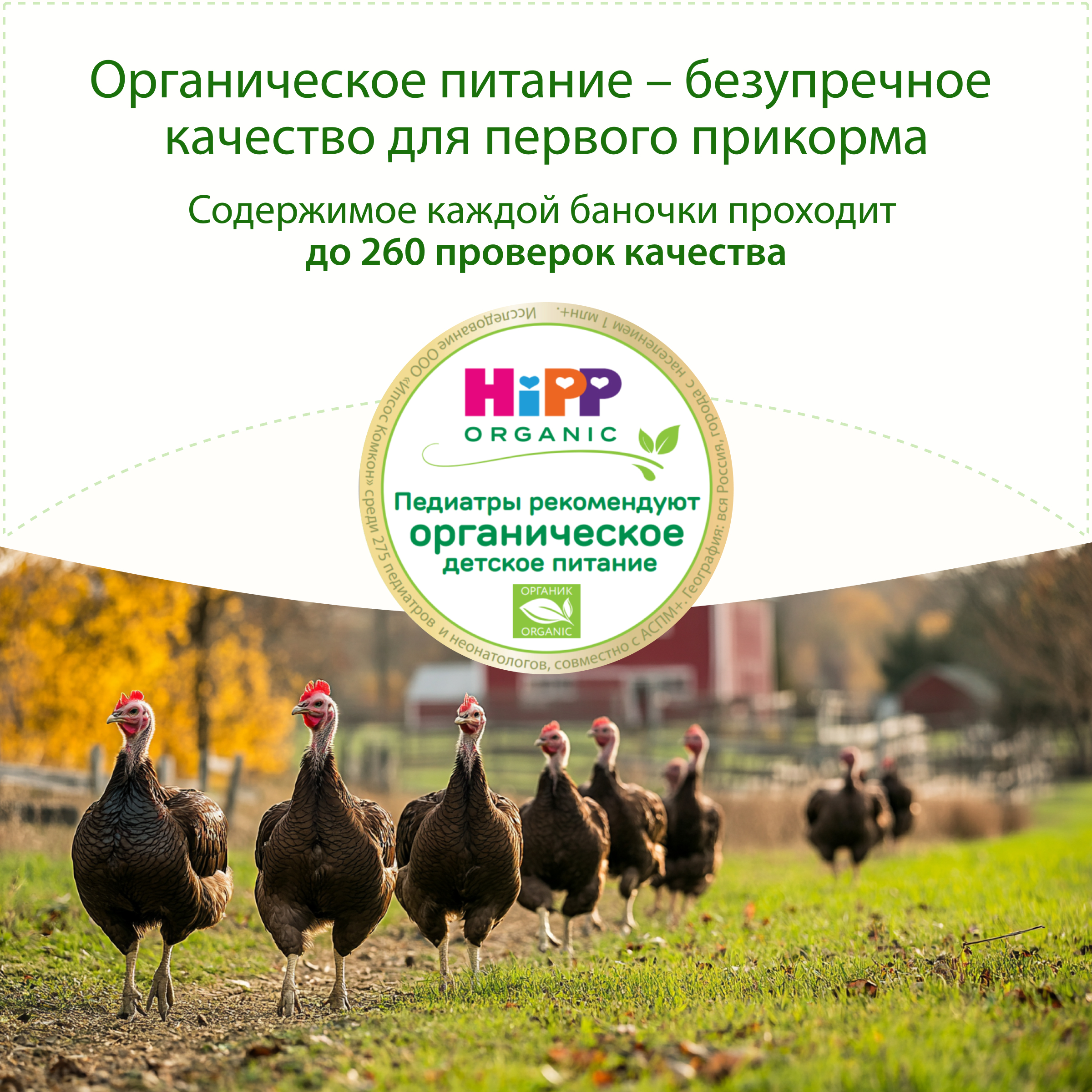 Пюре Hipp Индейка с 6 мес 80 г - фото 11