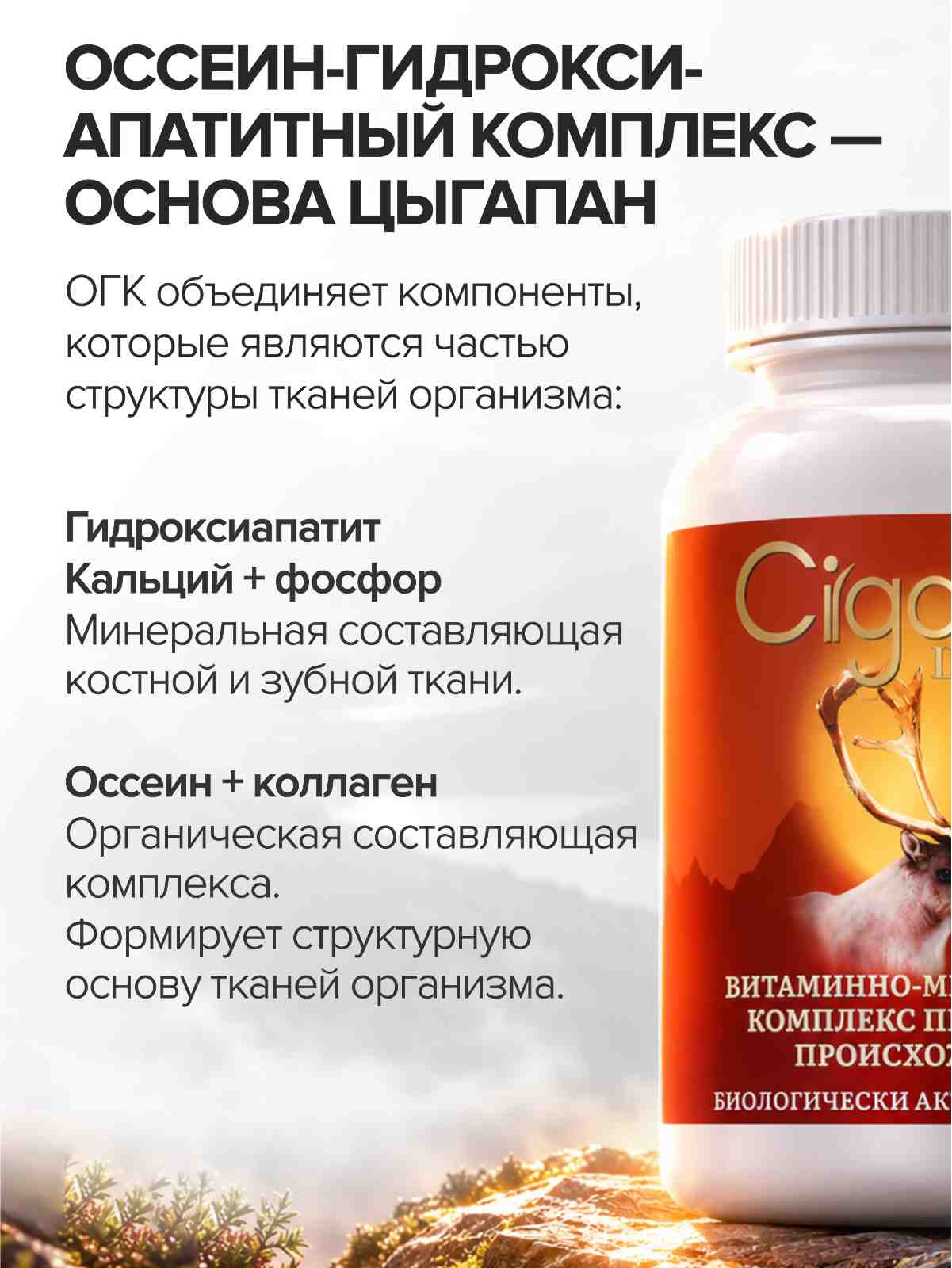 Мультивитамины для взрослых CigaPan Цыгапан комплекс витаминов и минералов 120 капсул 400 мг - фото 4