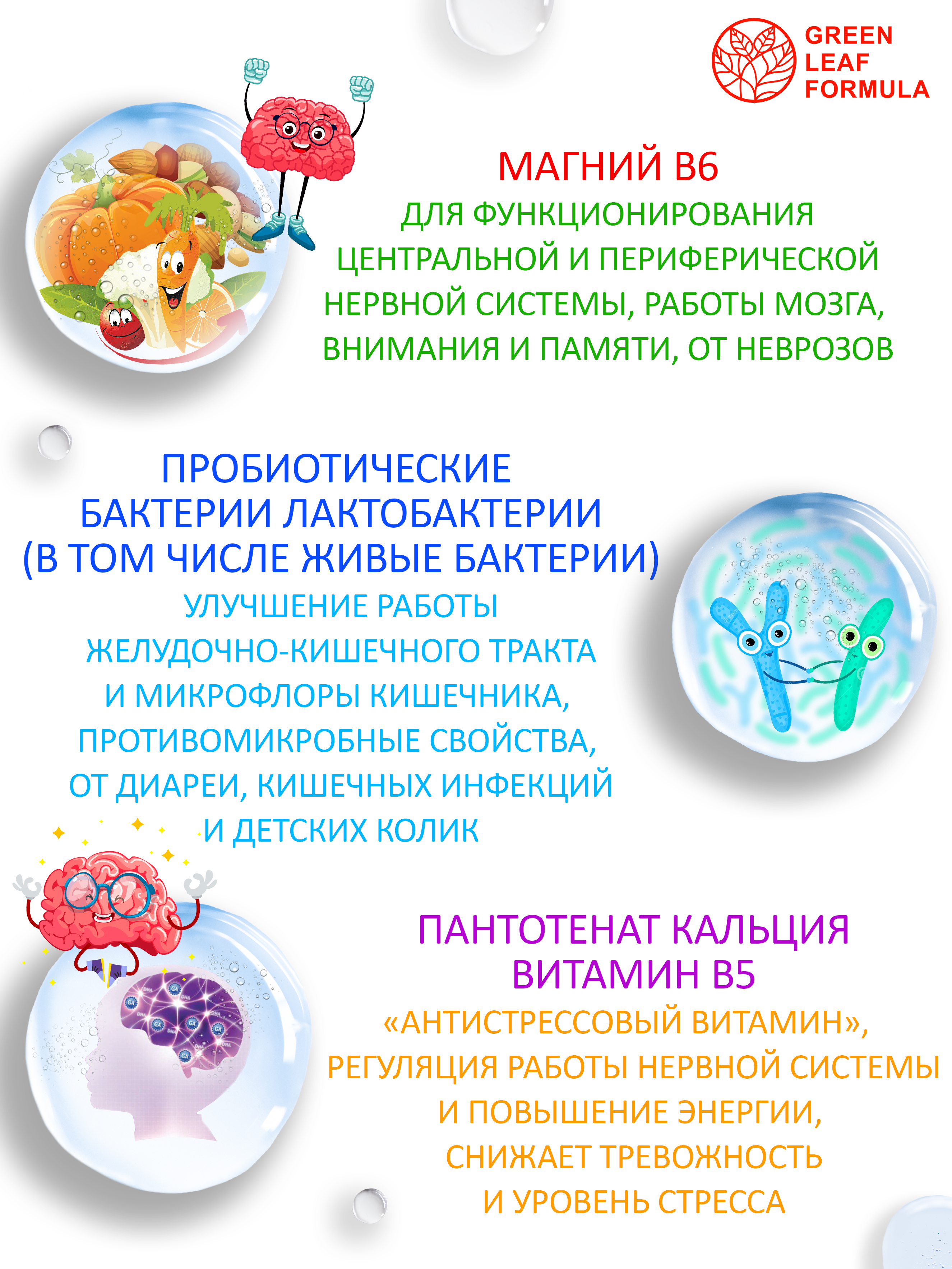 Магний В6 детский Green Leaf Formula витамины для мозга нервной системы для кишечника для СРК 60 капсул - фото 5