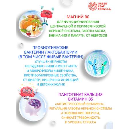 Магний В6 детский Green Leaf Formula витамины для мозга нервной системы для кишечника для СРК 60 капсул