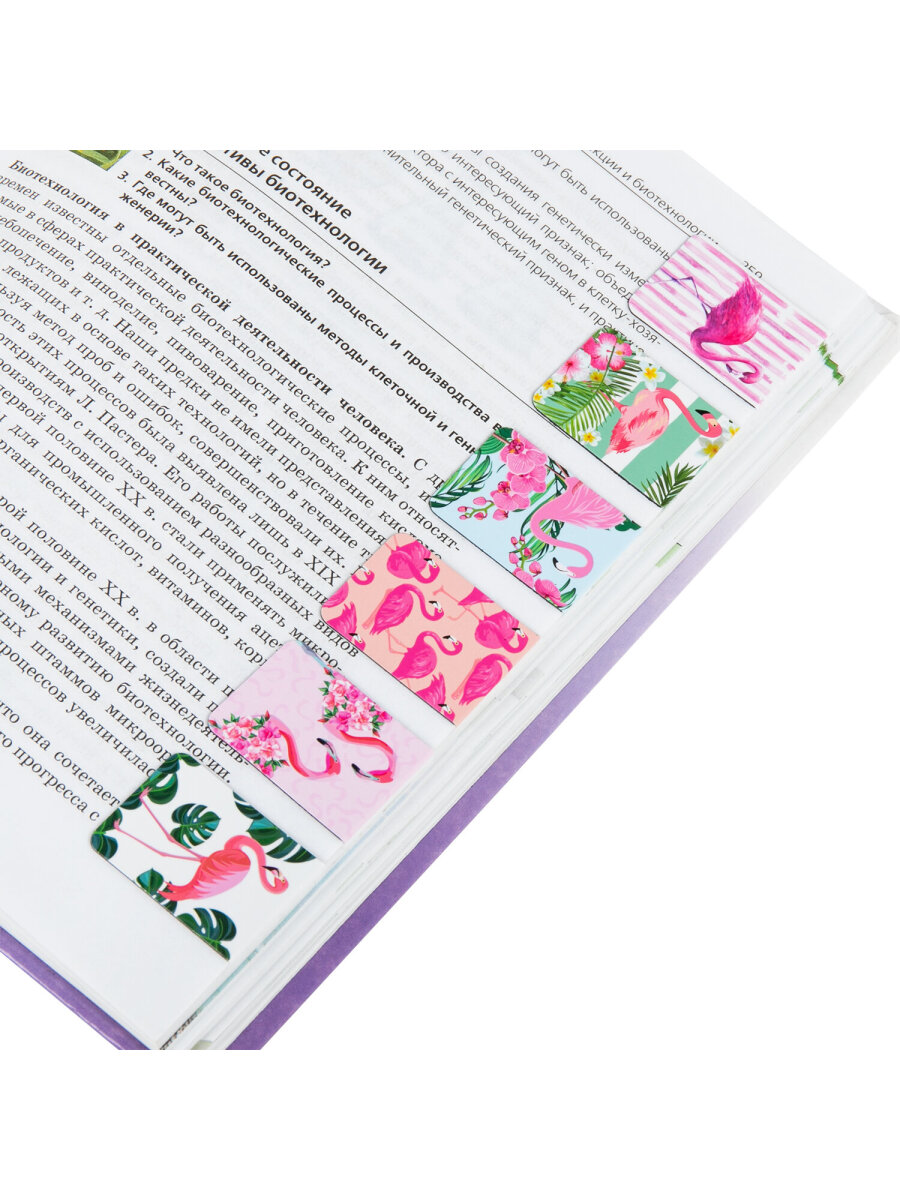 Закладки канцелярские Brauberg магнитные для книг в школу набор 6 штук - фото 7