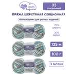 Пряжа для вязания Люблю Вязать Шерстяная секционная 100 г 125 м 3 шт