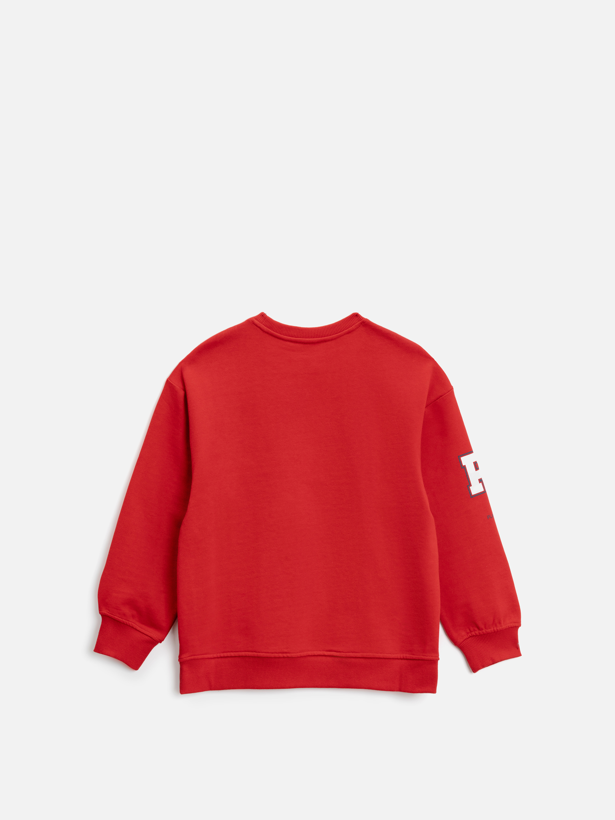 Свитшот Acoola 20210170177_0095968 - фото 4