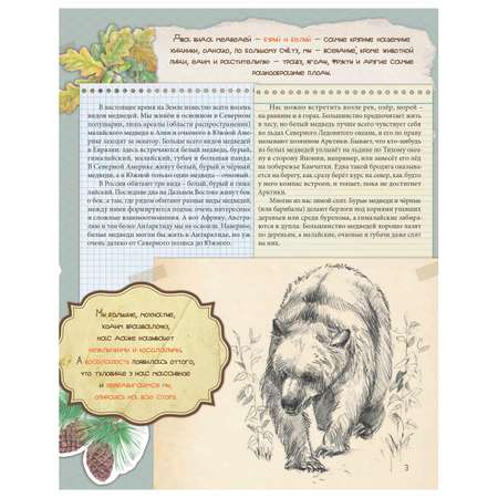 Книга ПИТЕР Мы-медведи