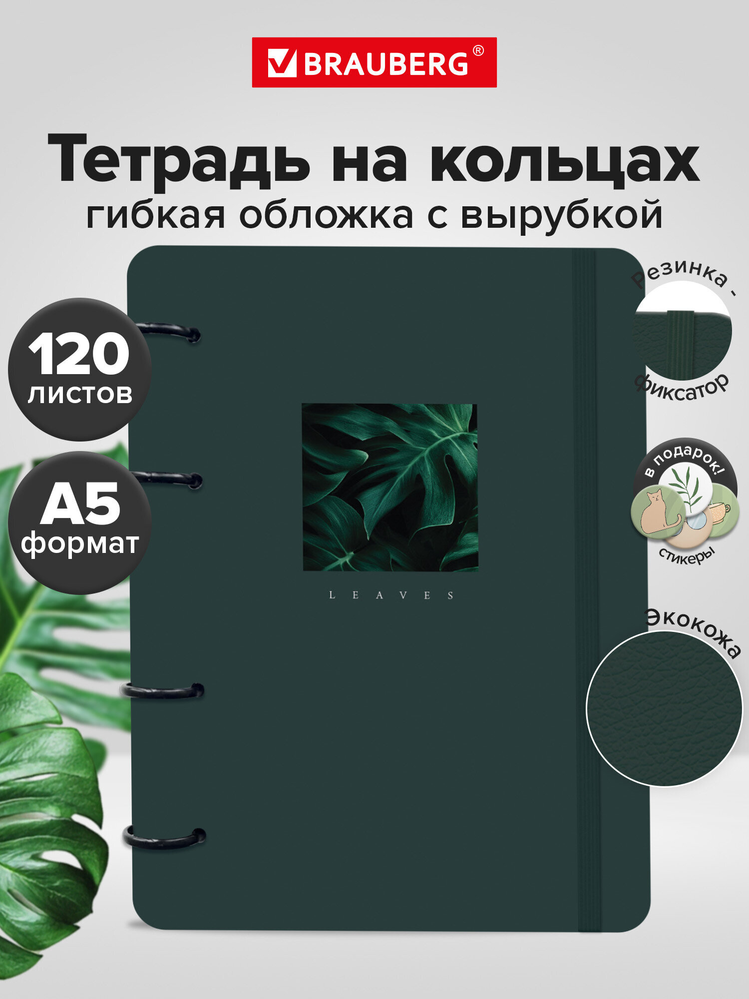 Тетрадь со сменным блоком Brauberg клетка 120 лист. - фото 2