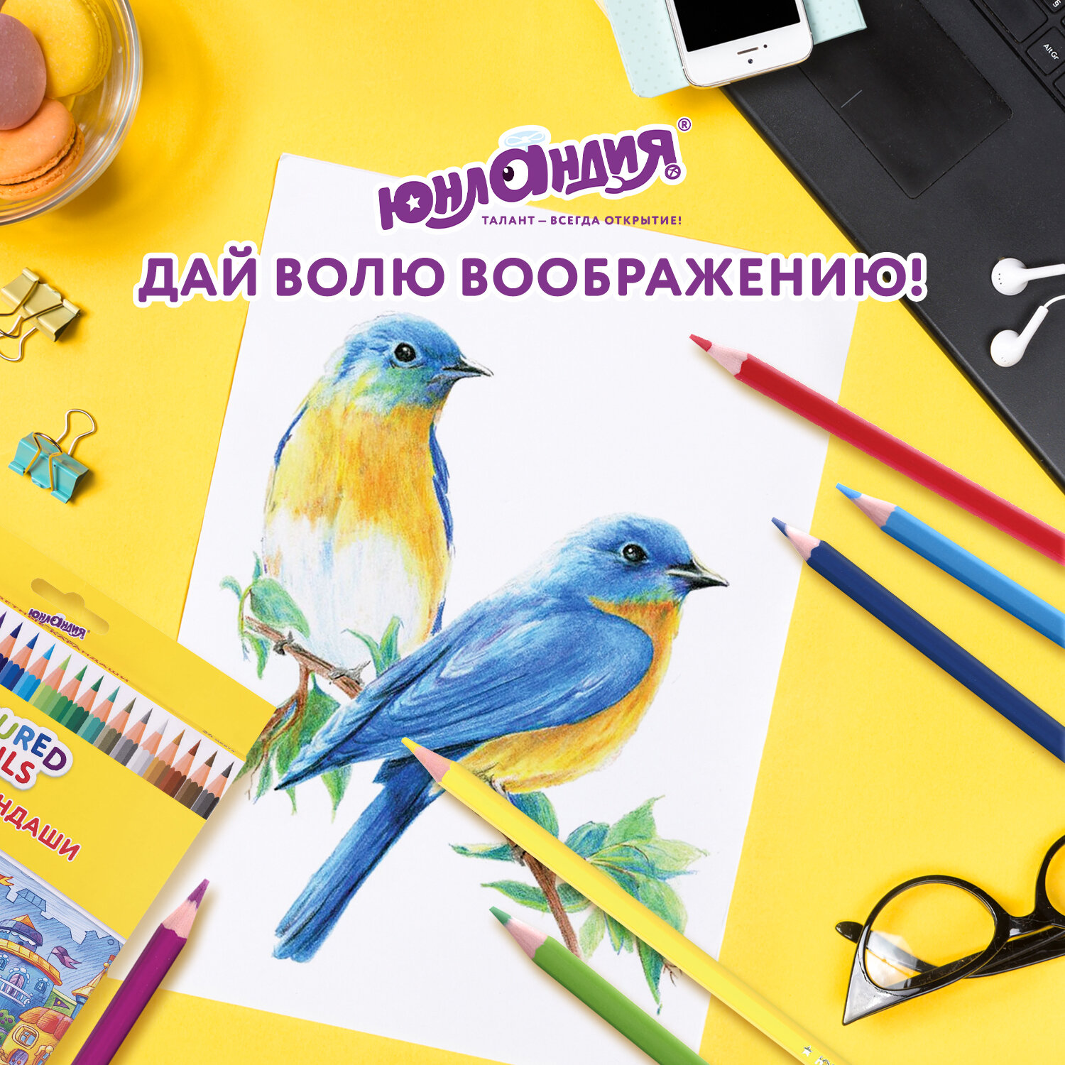 Карандаши цветные Юнландия 24 шт. - фото 7