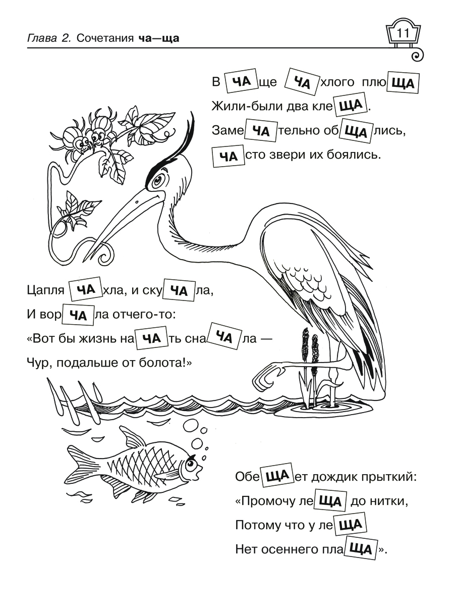 Книга ИД Литера Правила русского языка. Упражнения с ответами. - фото 5