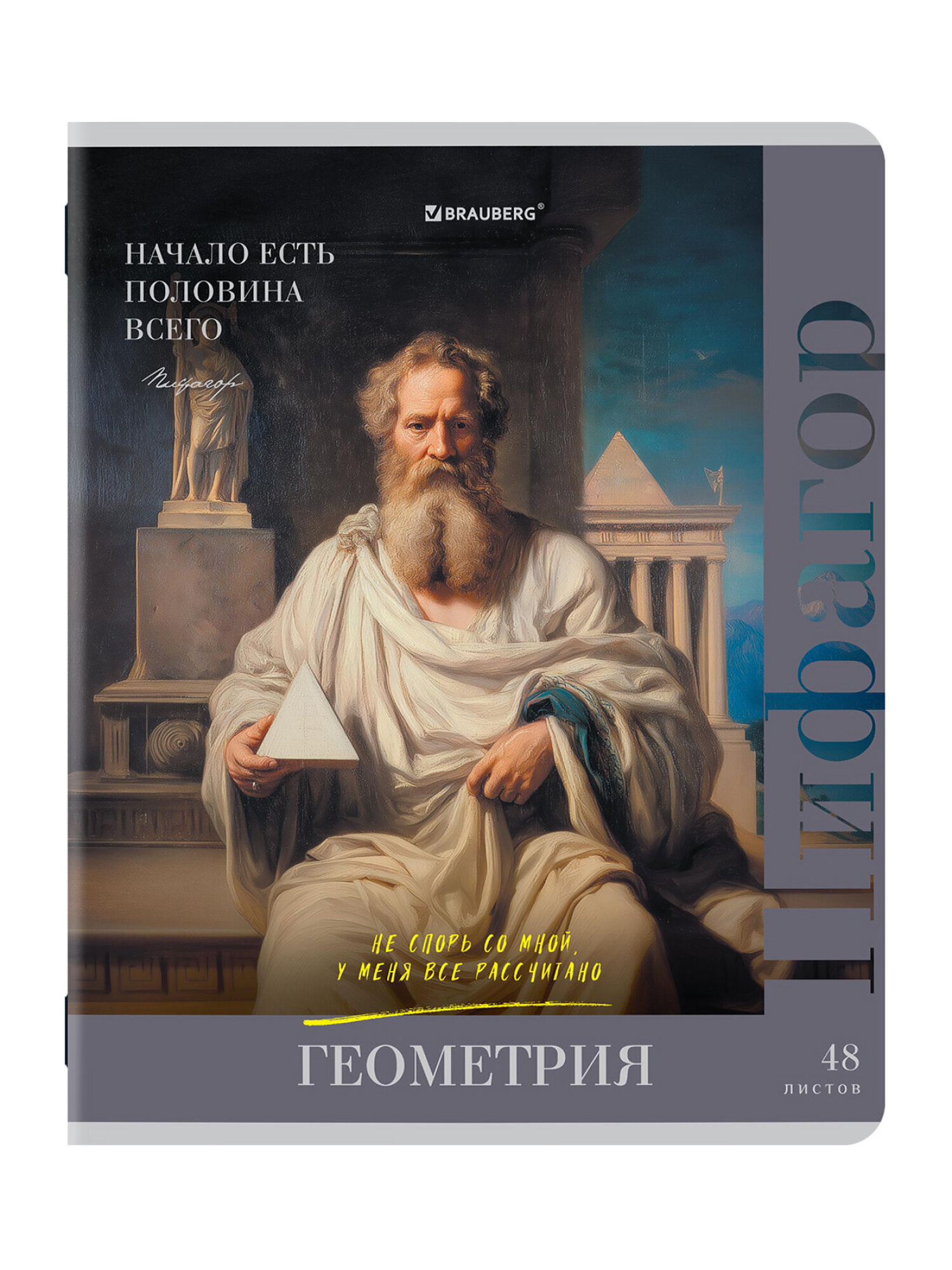 Тетрадь Brauberg 48 лист. 12 шт. - фото 11