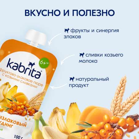 Пюре Kabrita Пудинг Мультизлаковый с облепихой с 6 мес 100 г