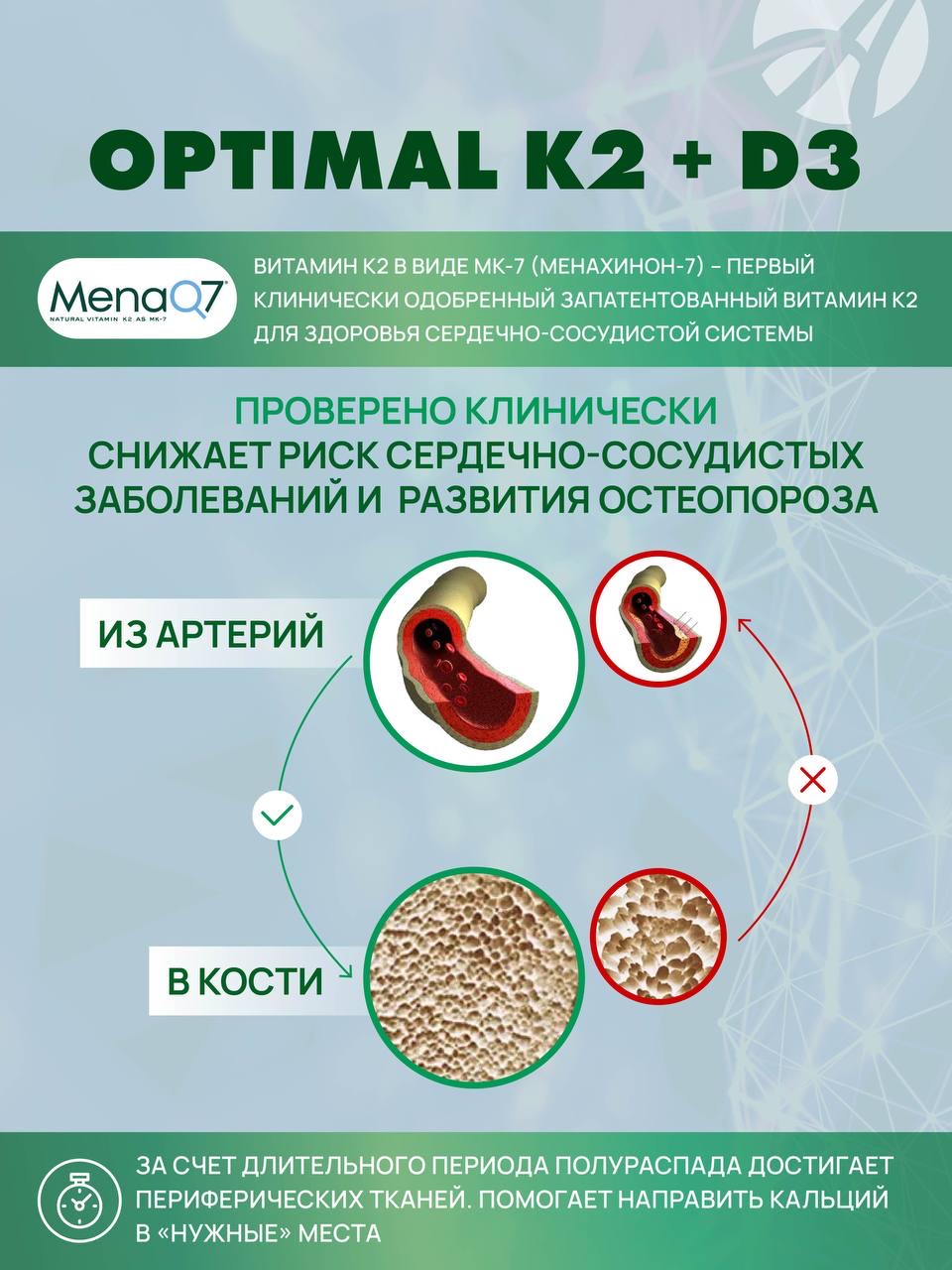 Art Life Optimal K2+D3, 120 капсул. Арт Лайф Для укрепления иммунитета. - фото 5