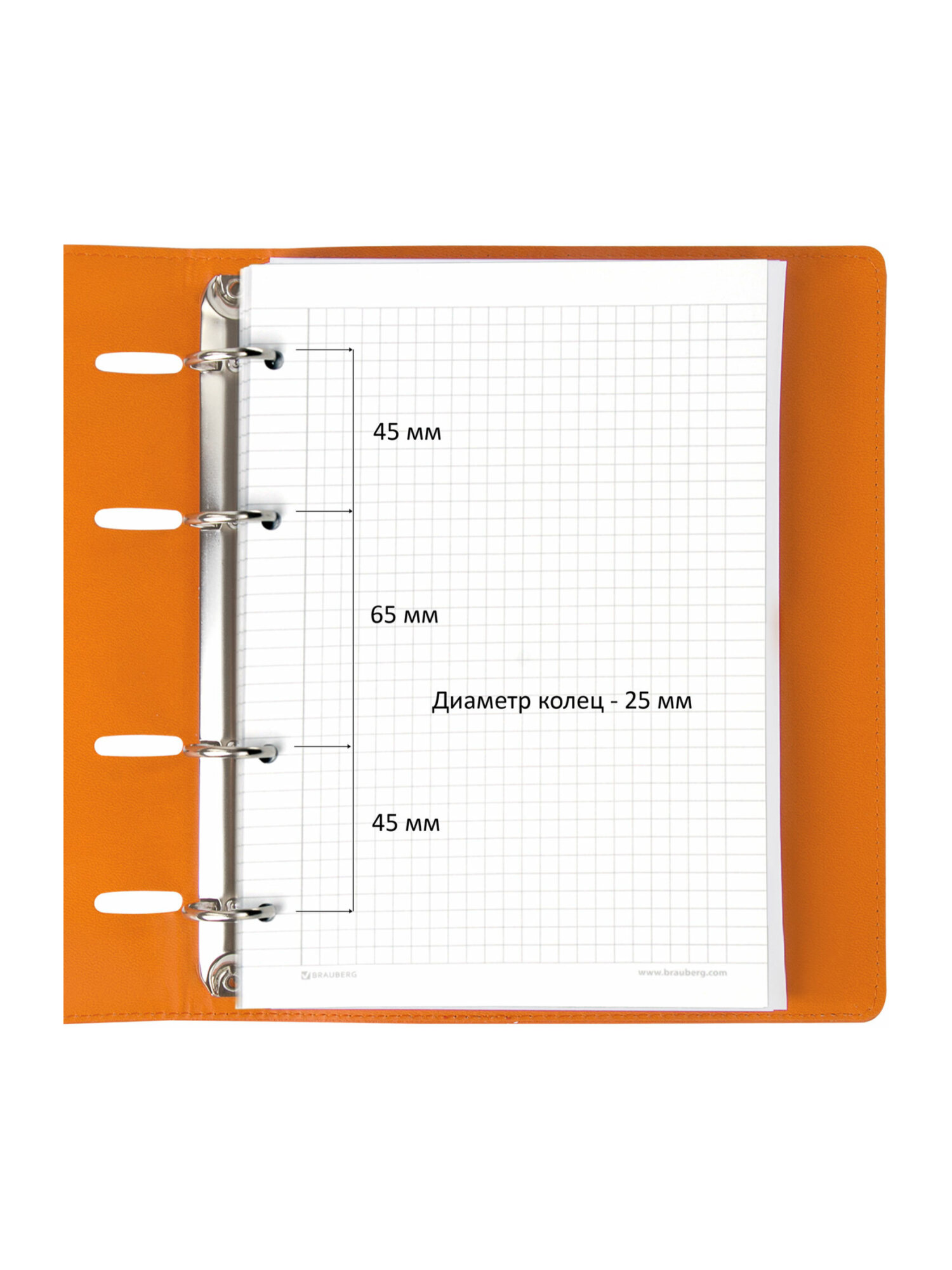 Тетрадь со сменным блоком Brauberg клетка 120 лист. - фото 5
