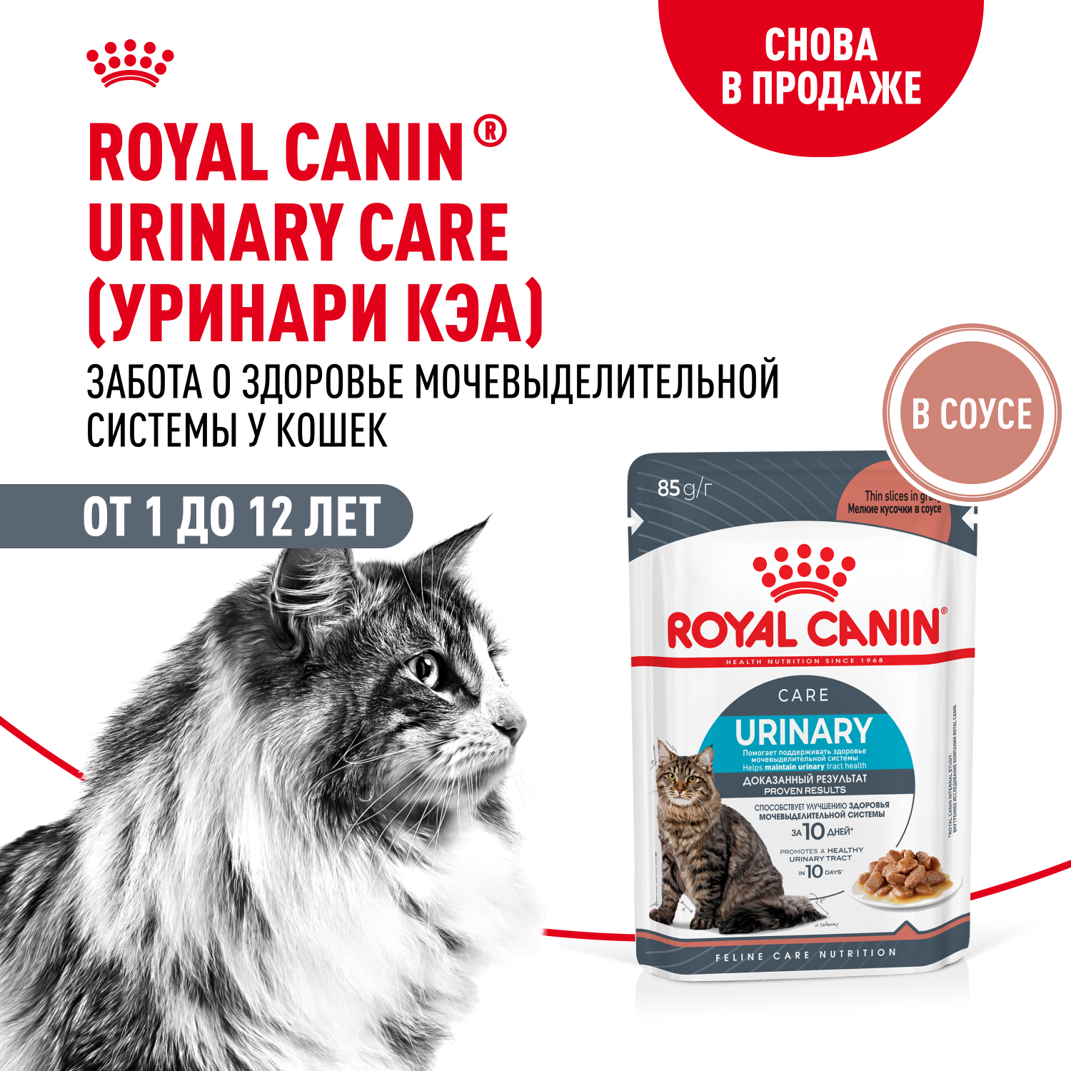 Корм для кошек ROYAL CANIN Urinary Care для поддержания здоровья мочевыделительной системы 85г - фото 1