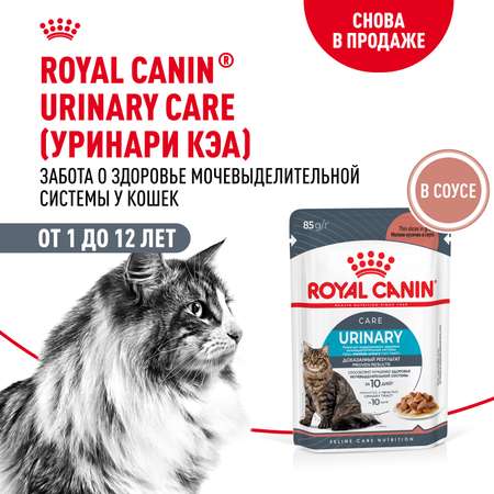 Корм для кошек ROYAL CANIN Urinary Care для поддержания здоровья мочевыделительной системы 85г