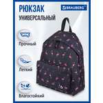 Рюкзак Brauberg Фламинго