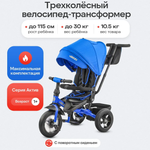 Трехколесный велосипед Velobibi 10 дюймов
