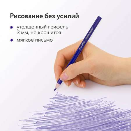 Карандаши цветные Brauberg 24 шт.