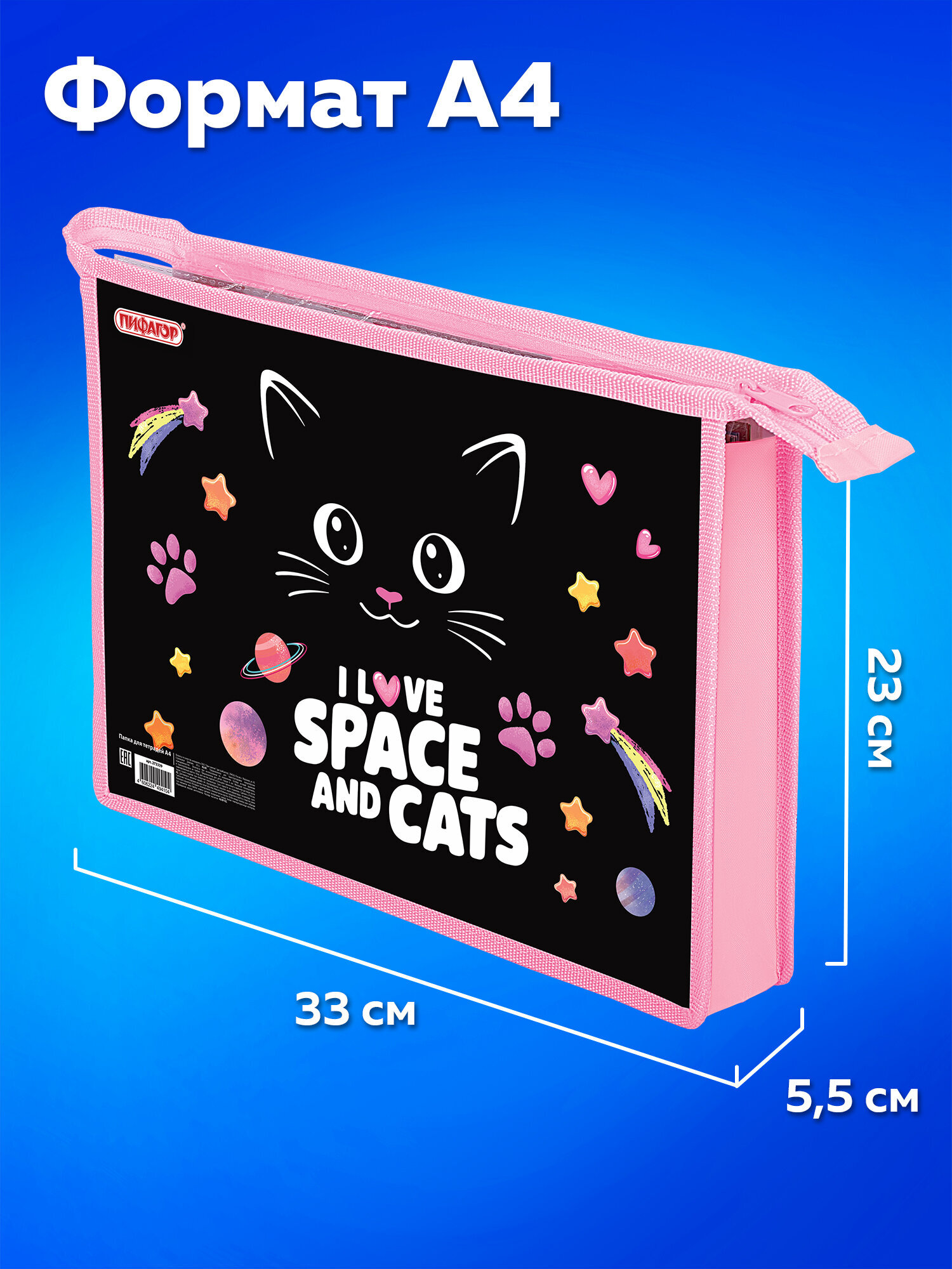 Папка для тетрадей Пифагор А4 - фото 5