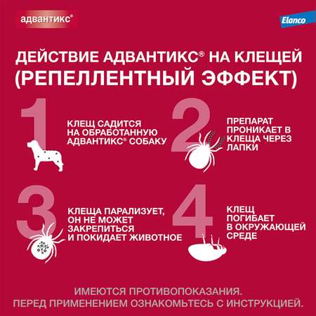 Капли для собак Elanco Адвантикс от 10 до 25 кг против блох и клещей 1пипетка