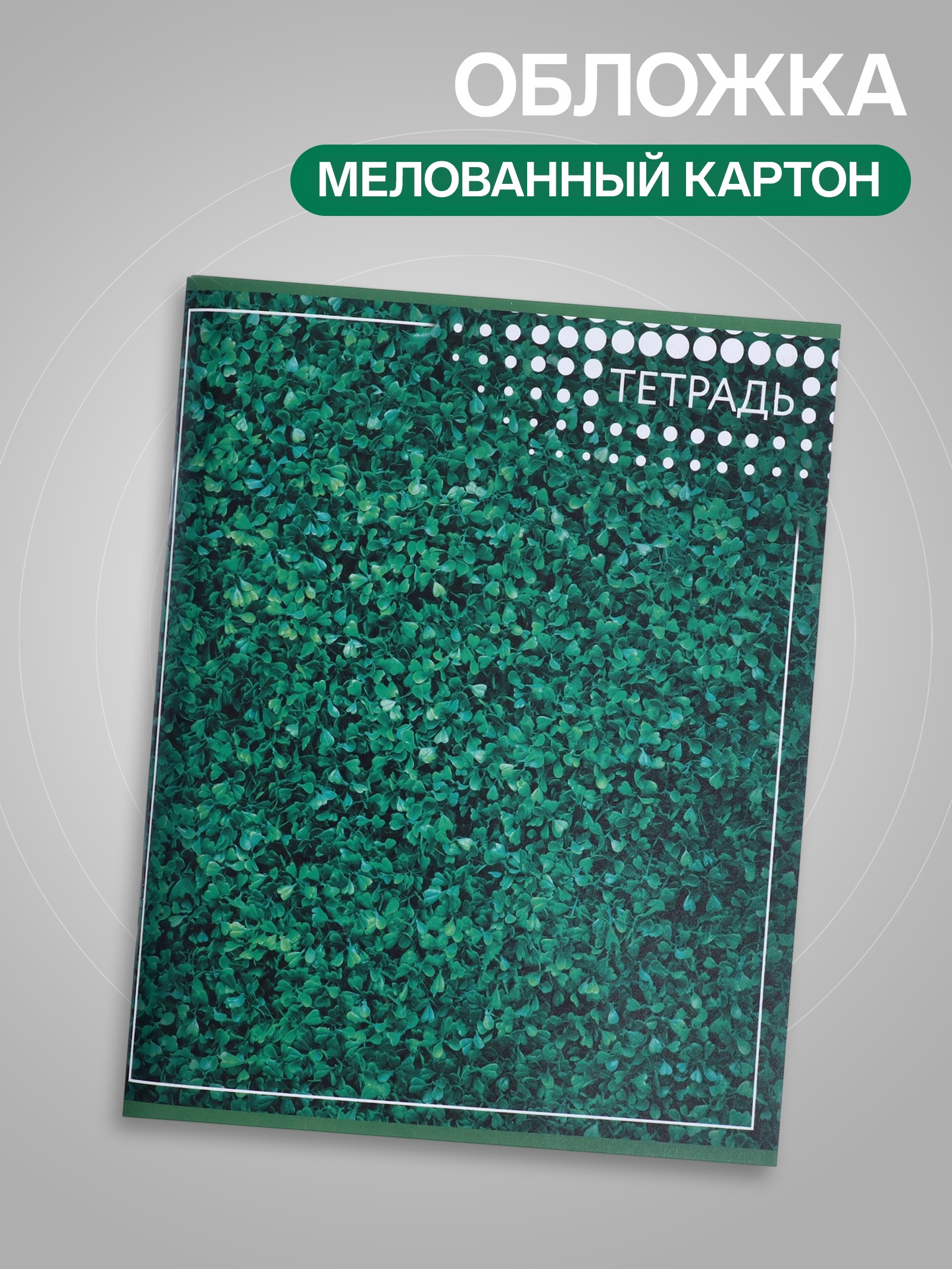 Тетрадь Calligrata клетка - фото 4