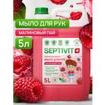 Мыло жидкое SEPTIVIT Малиновый Пай 5450 г 5000 мл