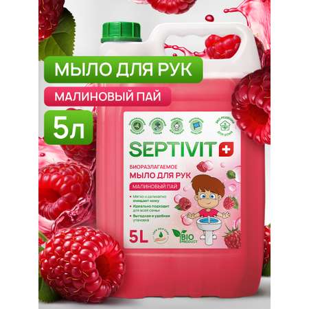 Мыло жидкое SEPTIVIT Малиновый Пай 5450 г 5000 мл