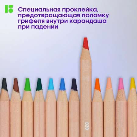 Карандаши цветные BERLINGO 36 шт.
