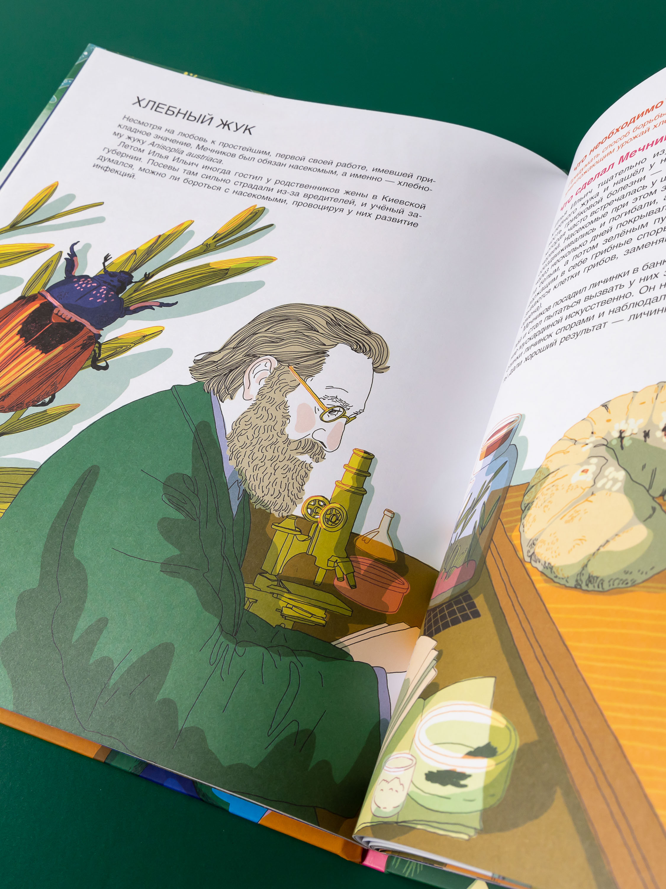 Книга Альпина. Дети Мир биолога Мечникова : Как разглядеть в микроскоп целый мир - фото 5