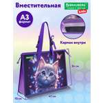 Папка для труда Brauberg любознательный кот А3