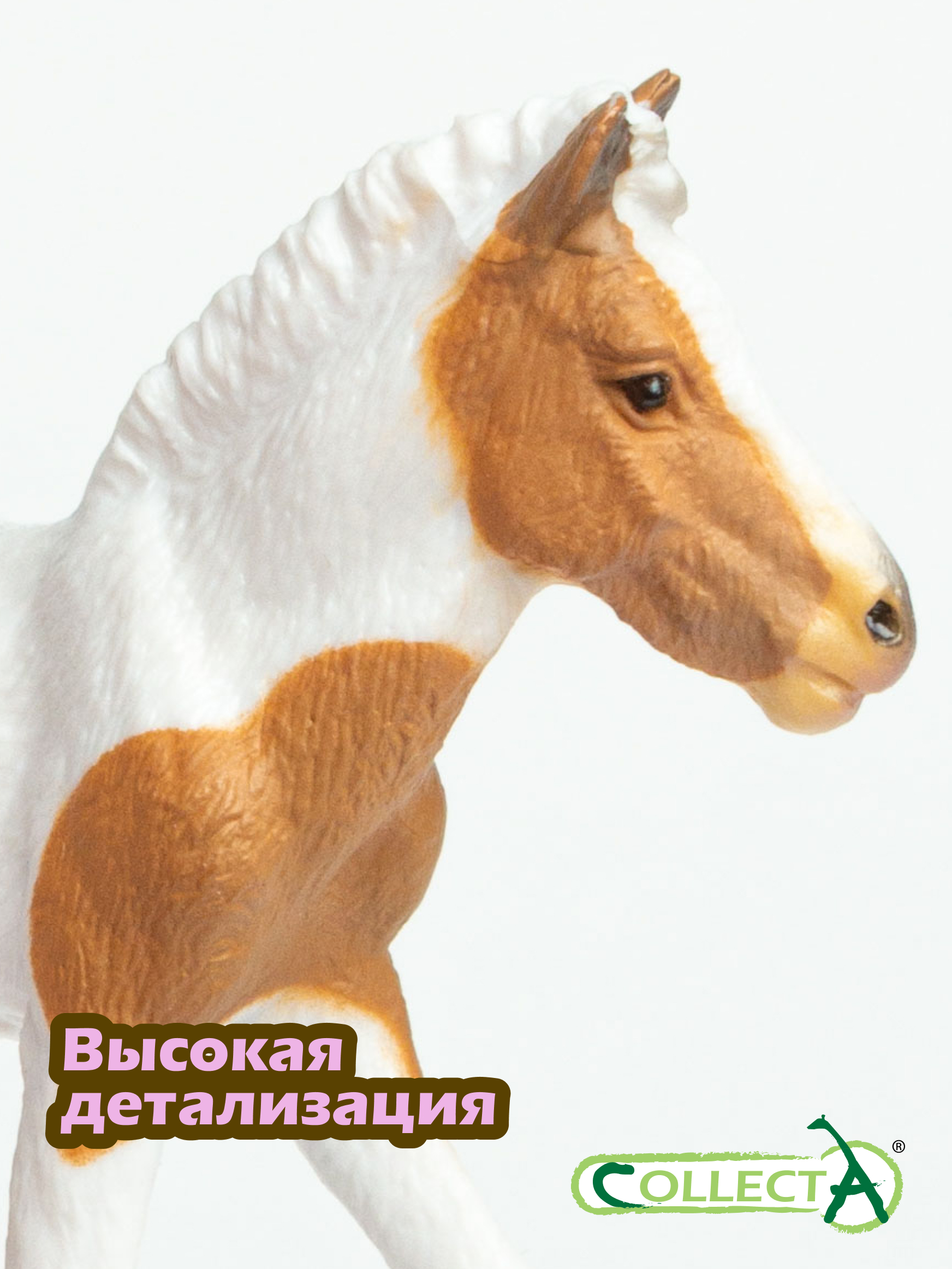 Фигурка Collecta Жеребёнок Дартмурский - фото 3