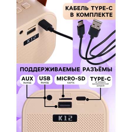 Караоке детское беспроводное Zabiaka 2 микрофона bluetooth 5 режимов подсветки