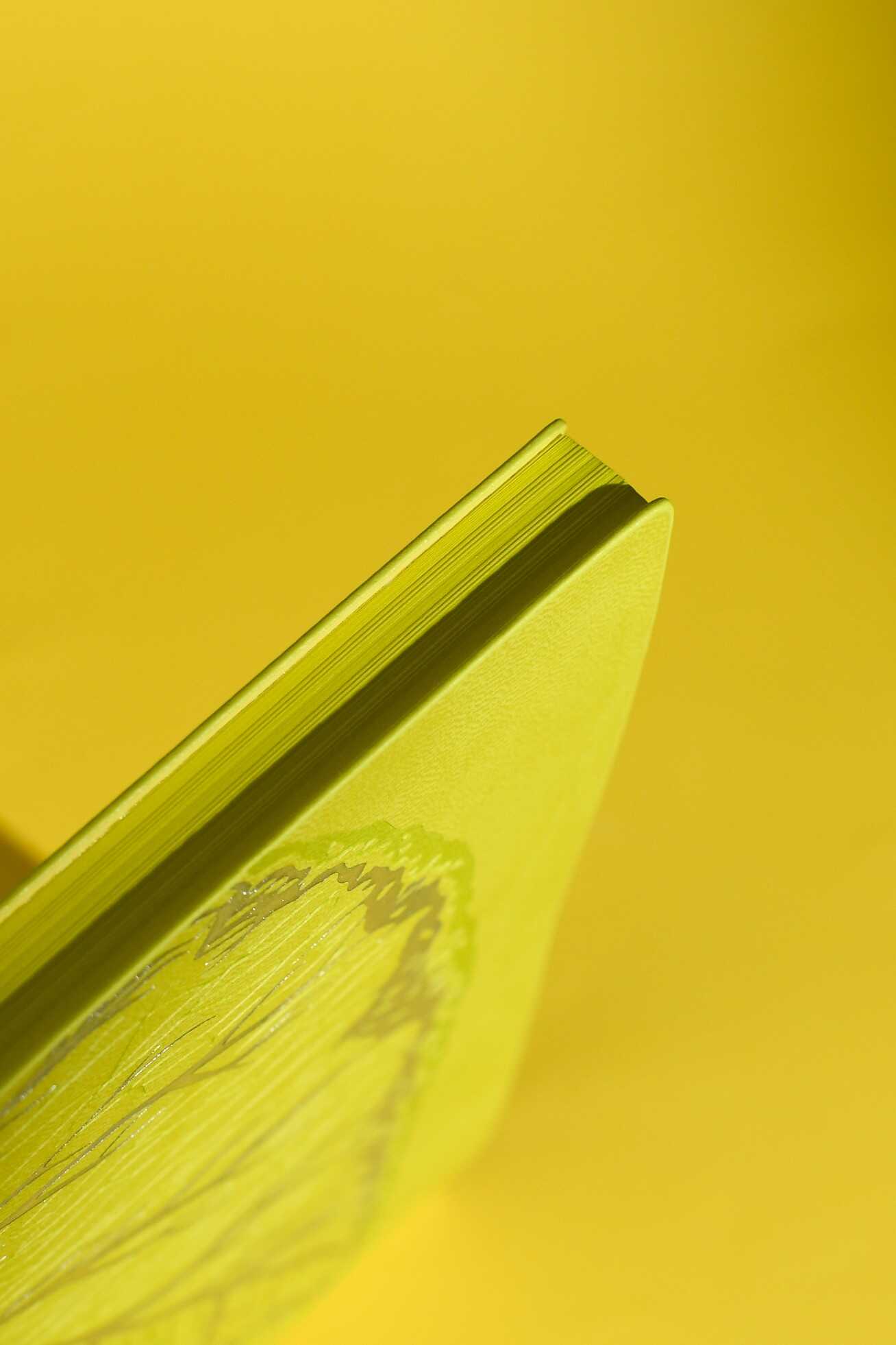 Ежедневник Феникс + ESCALADA 120 лист. - фото 9