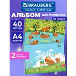 Альбом Brauberg А4 40 лист. 2 шт.
