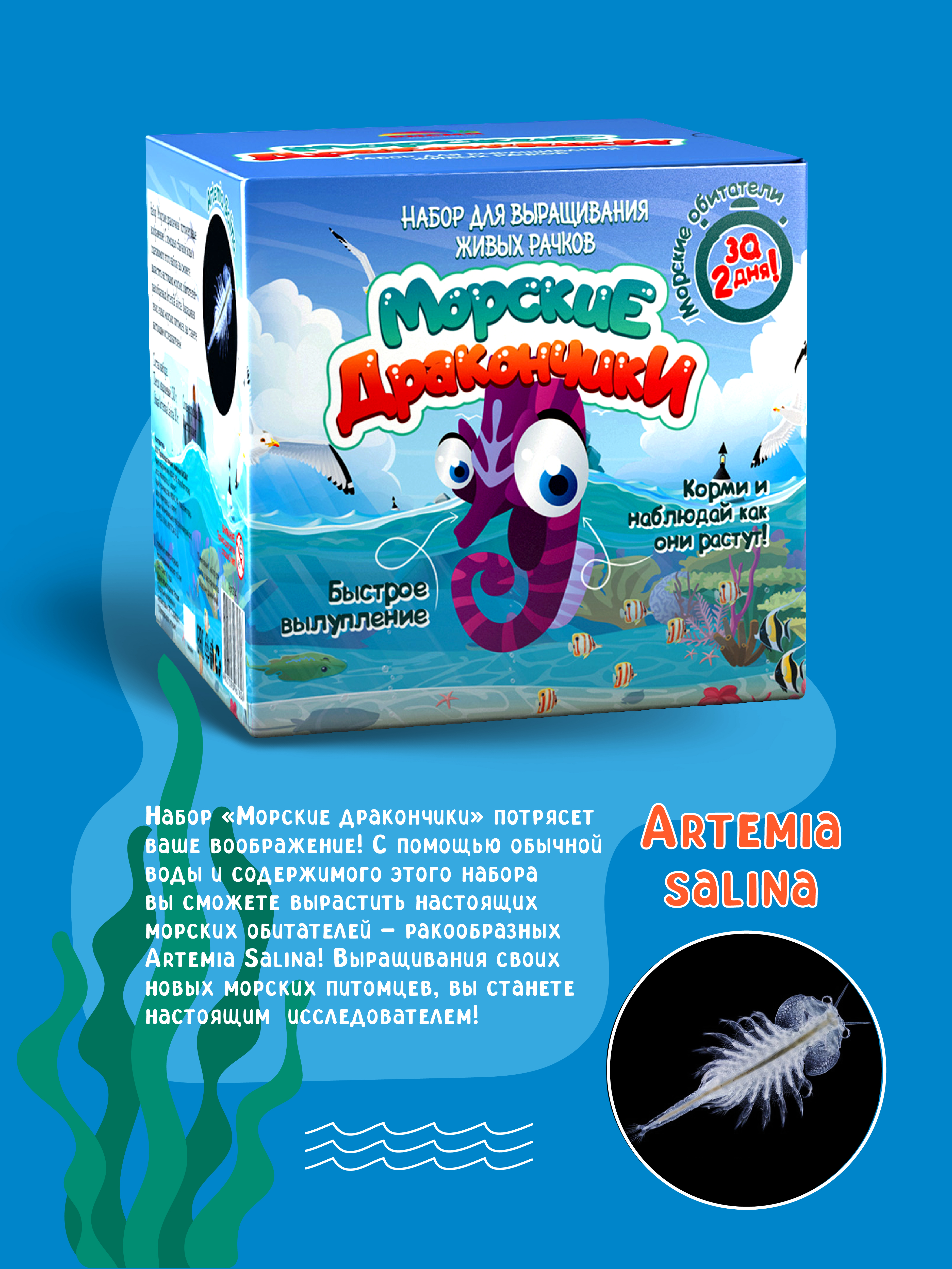 Набор для выращивания ВИСМА Вырасти Морские Дракончики - фото 4