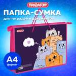 Папка для тетрадей Пифагор А4