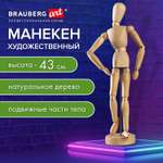 Манекен Brauberg