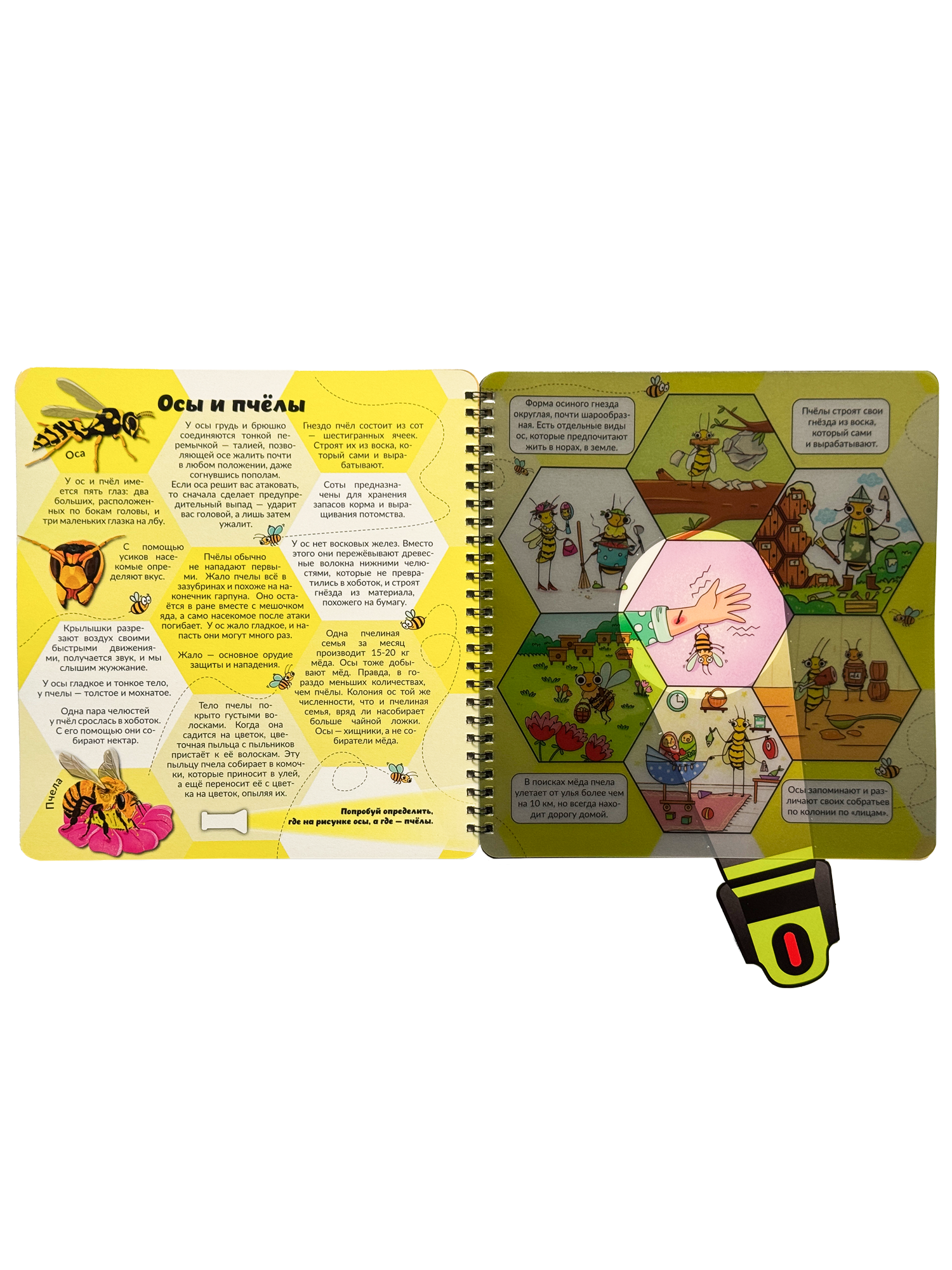 Книга с фонариком БимБиМон Мир насекомых - фото 9