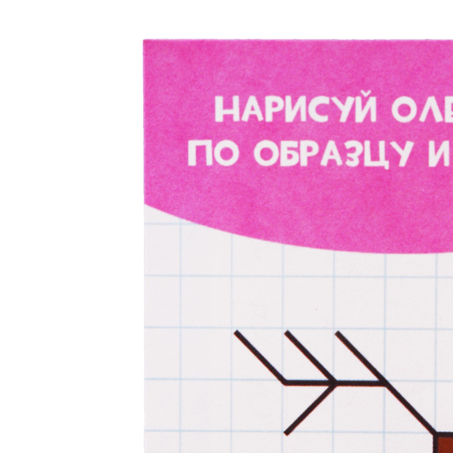 Тетрадь Prof-Press линейка 8 лист. 3 шт. - фото 13