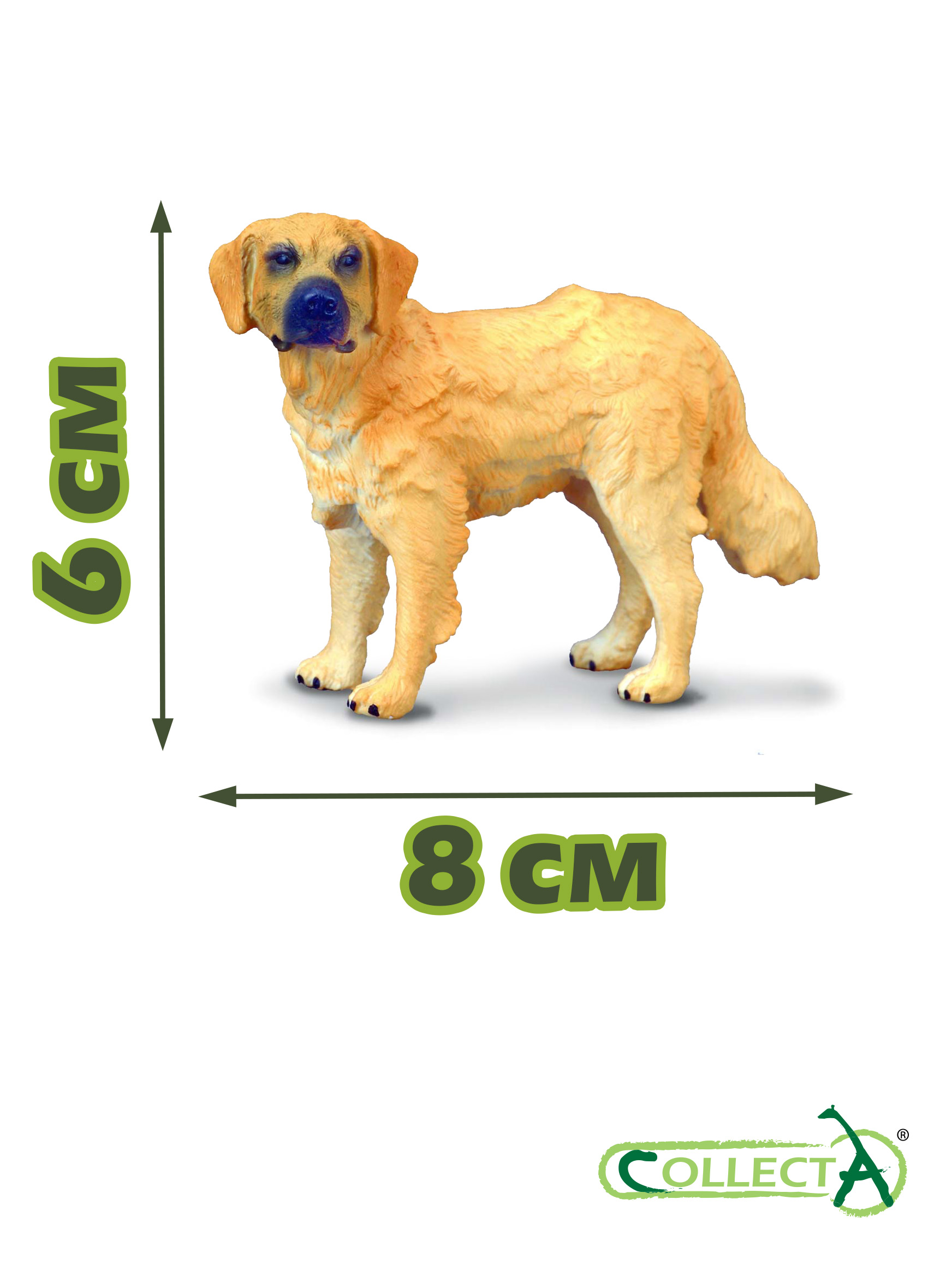 Фигурка Collecta Золотистый ретривер - фото 2