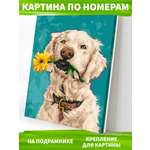 Картина по номерам Art on Canvas Собака с цветком в ассортименте