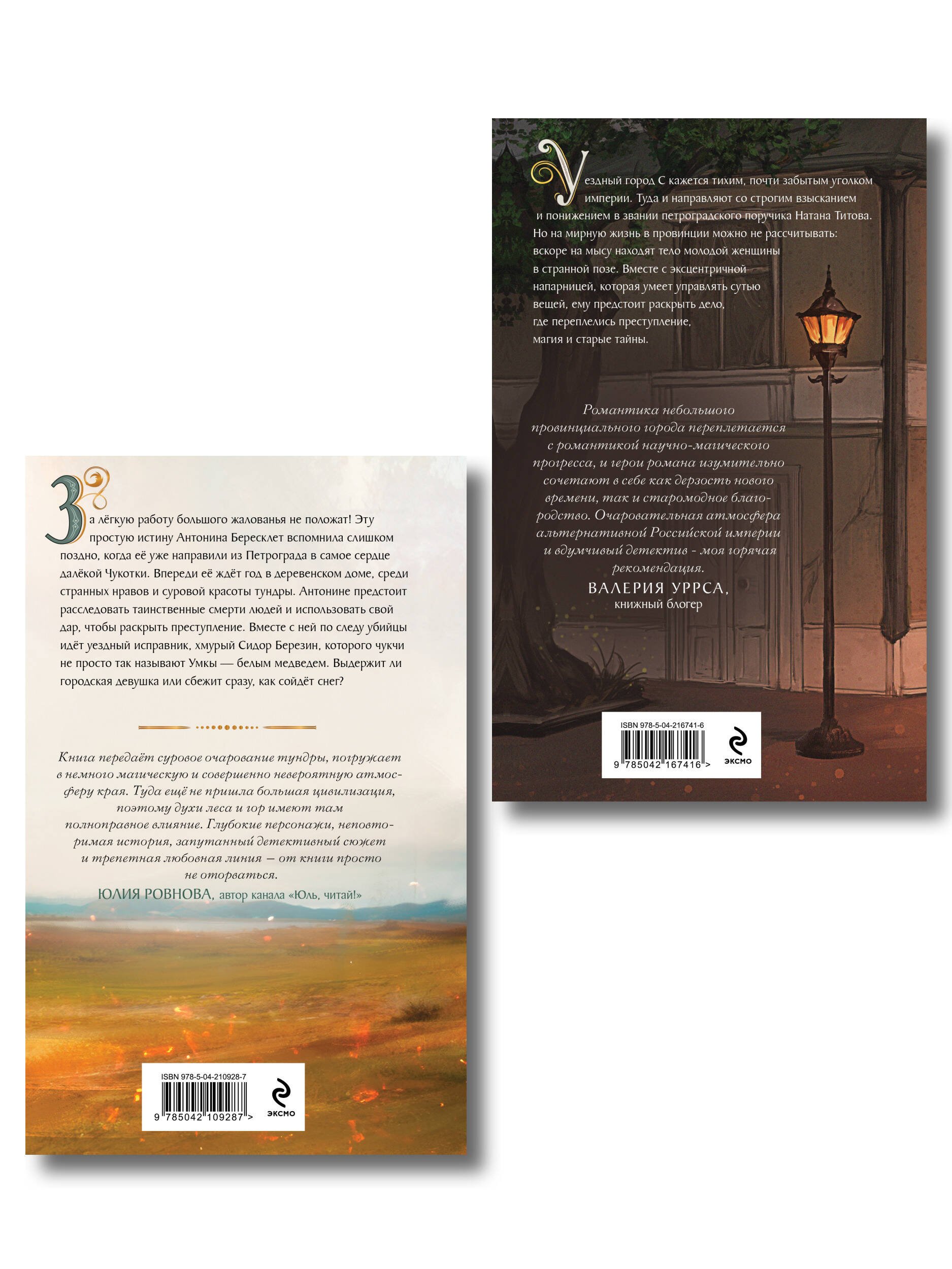 Комплект Эксмо Комплект из 2-х книг Медвежий край и Уездный город С - фото 2