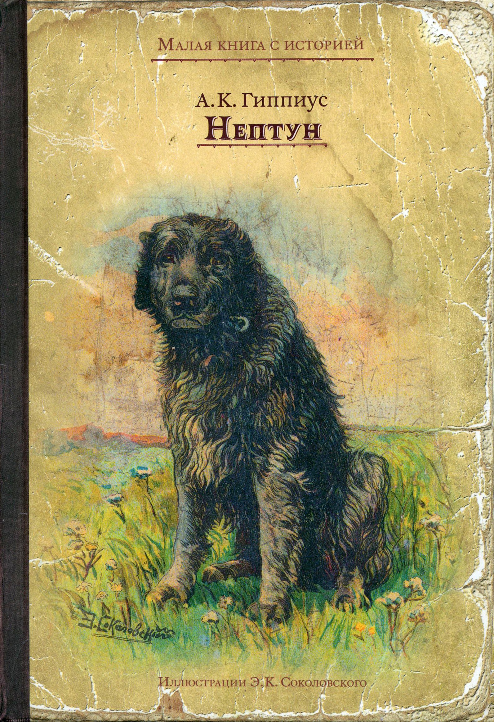 Книга Стрекозa Нептун - фото 1
